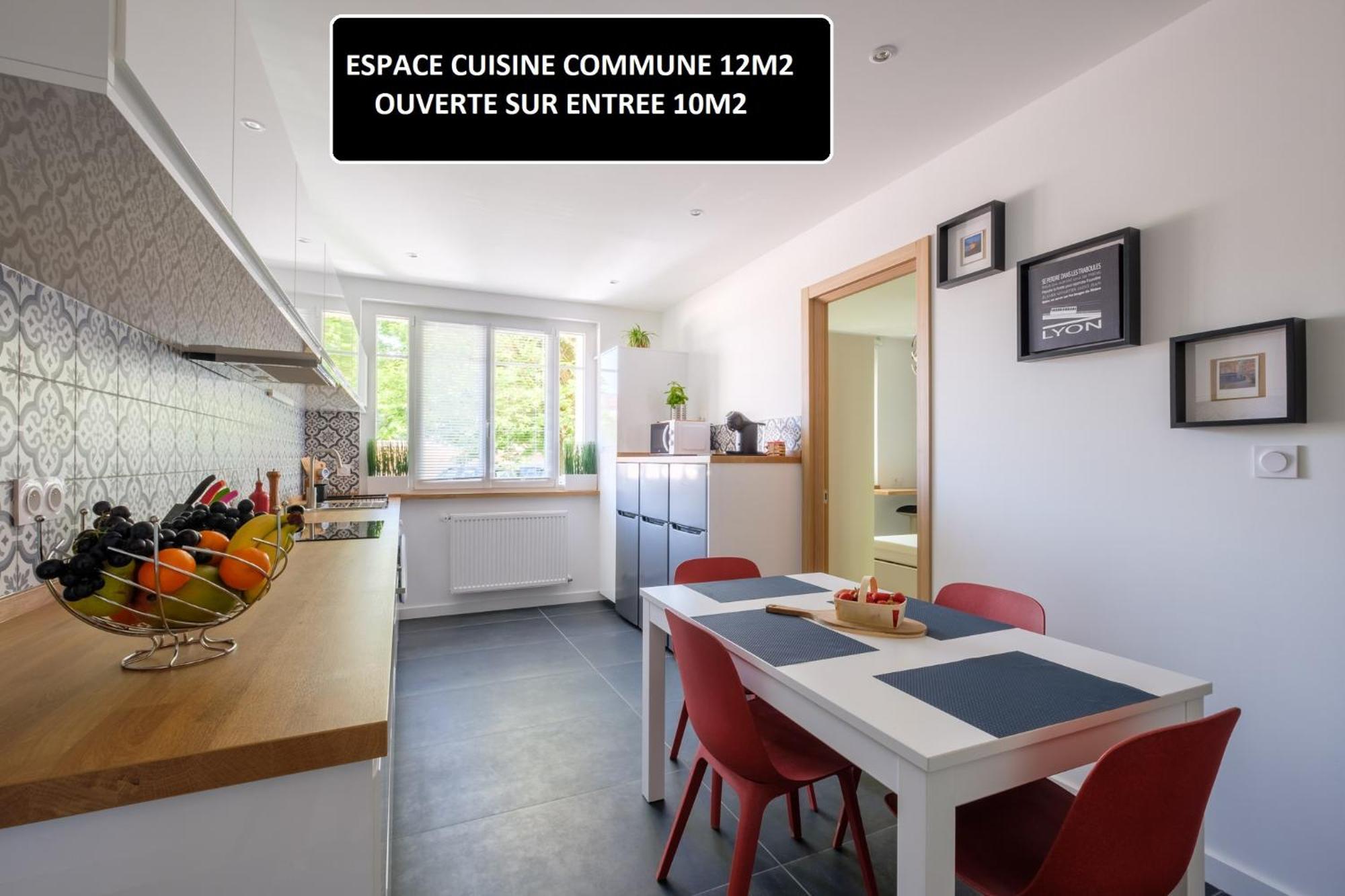 Appart 3 Suites-Chaque Suite Avec Sdo Wc Privatifs - Cuisine Commune Tassin-la-Demi-Lune Exterior photo